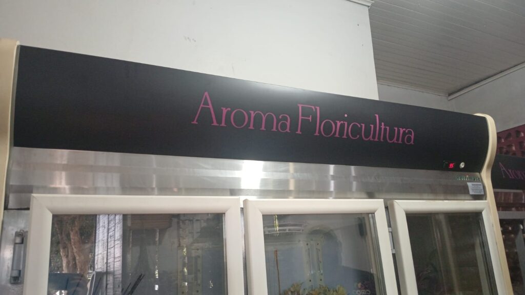 WhatsApp Image 2025-01-29 at 09.50.35